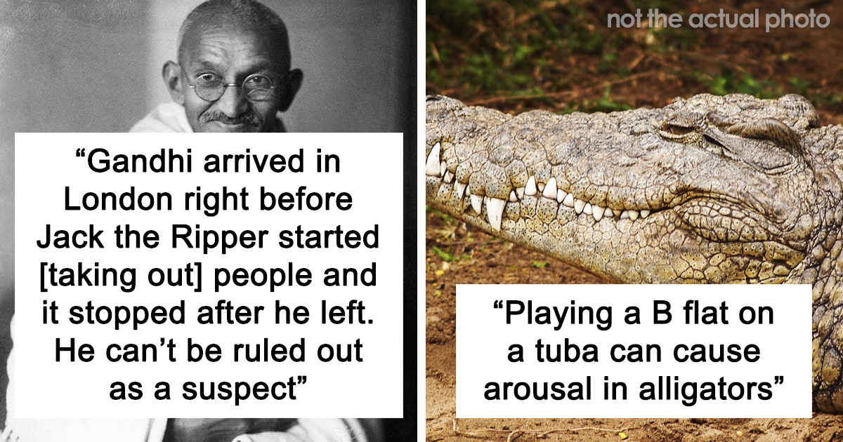 30 Mind-Blowing Facts That No One Asked For