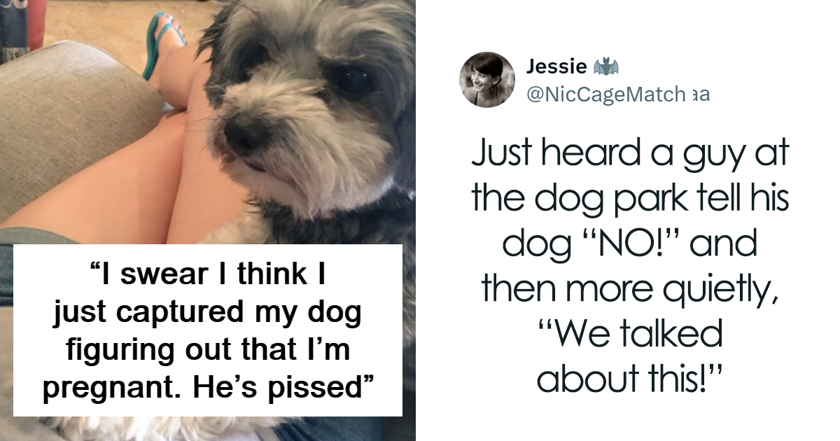 35 Adorable Dog Posts That Will Make You Love Pups Even More