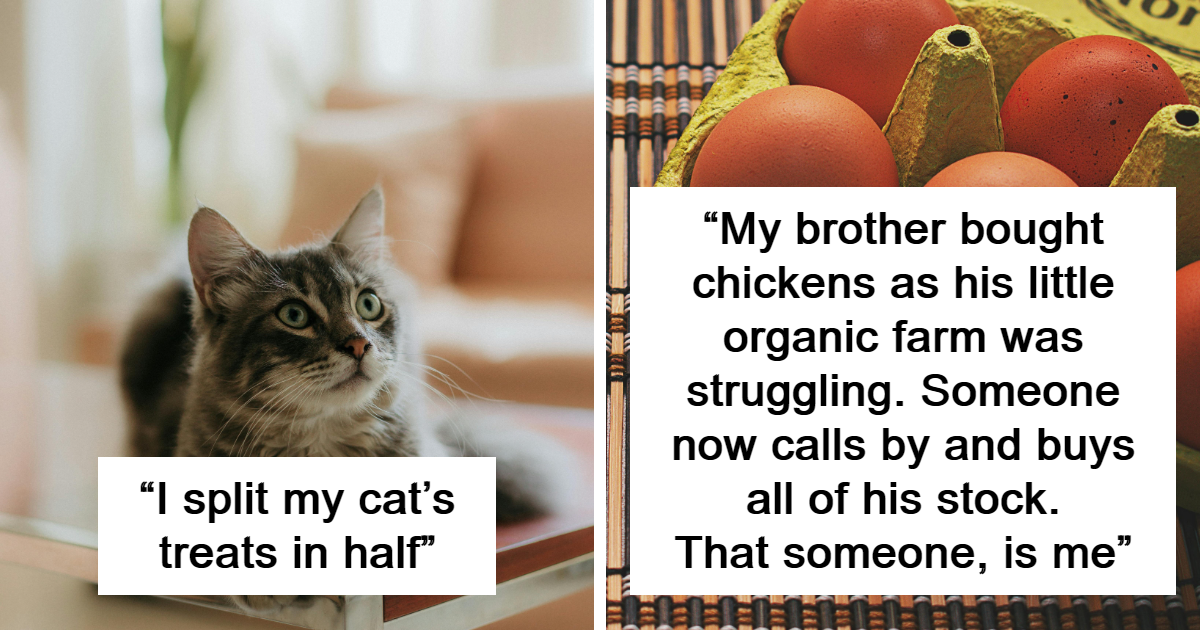 25 Reasons Why People Purposely Misled Someone With A Blatant Lie