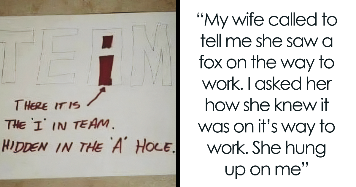 40 Funny “Unappreciated Puns” That Display Beautiful Wordplay