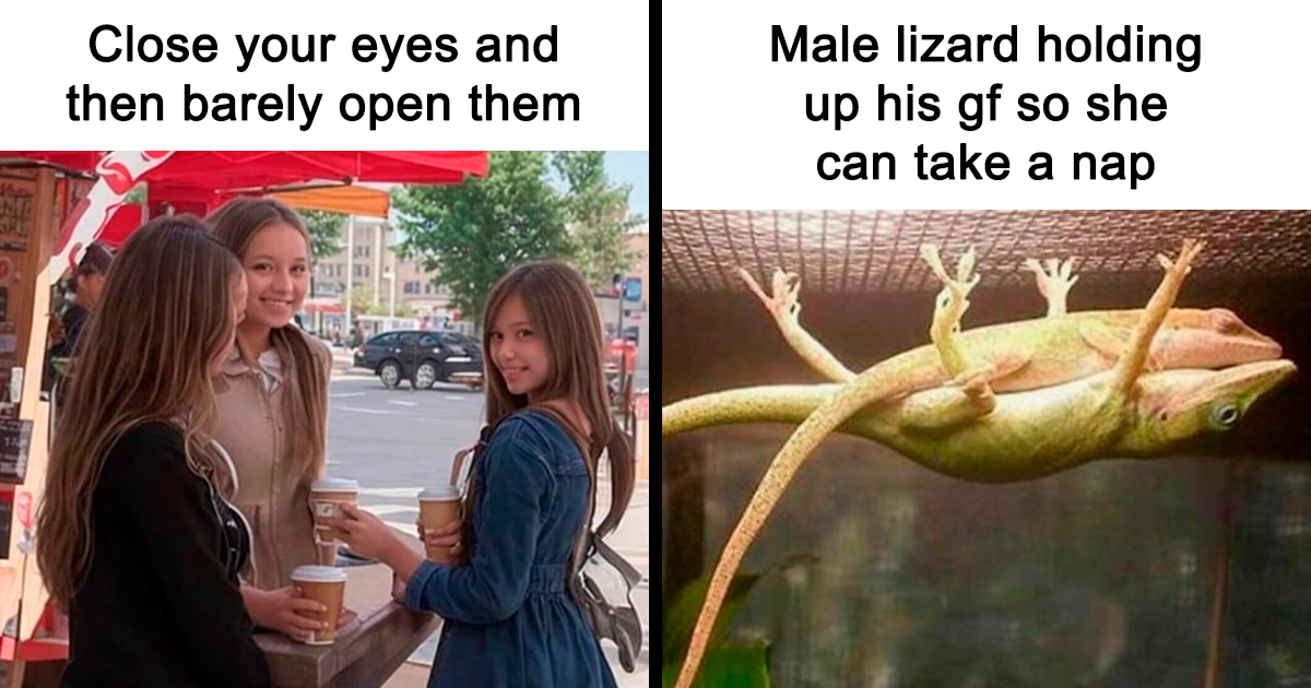 “How Things Work”: 40 Fascinating Facts For Curious Minds