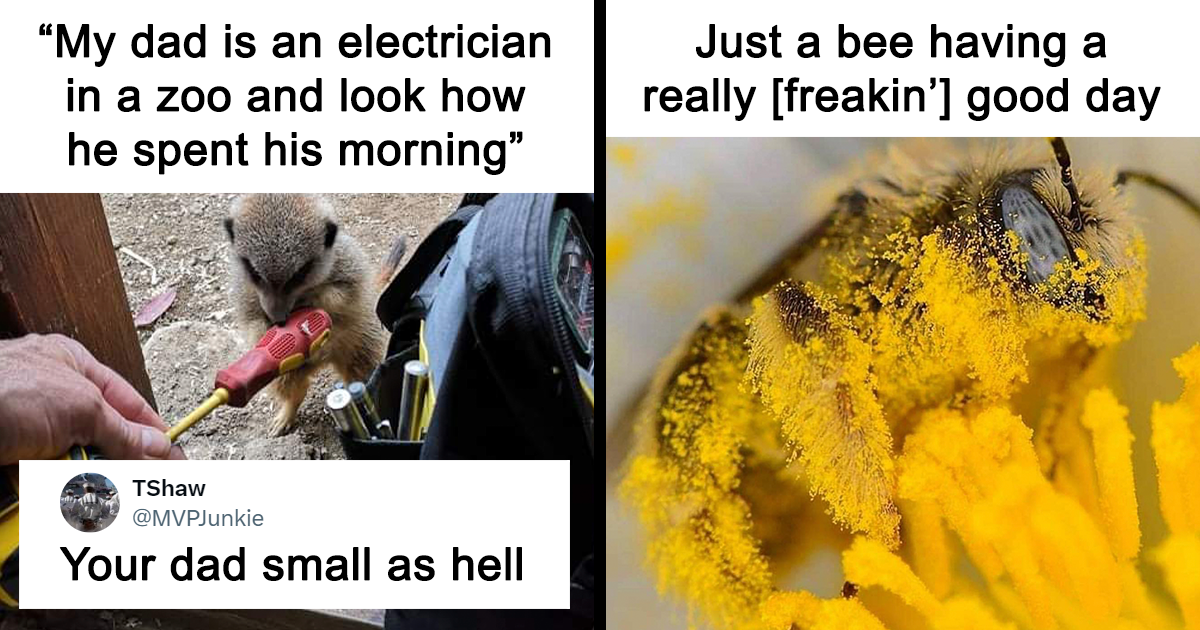 40 Awkward Photos Of Animals That Were Begging To Be Made Into A Meme