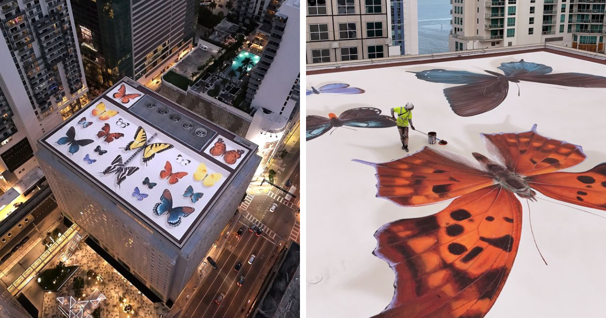 Artist Draws Stunning Giant Mural Of Butterflies On Miami Rooftop