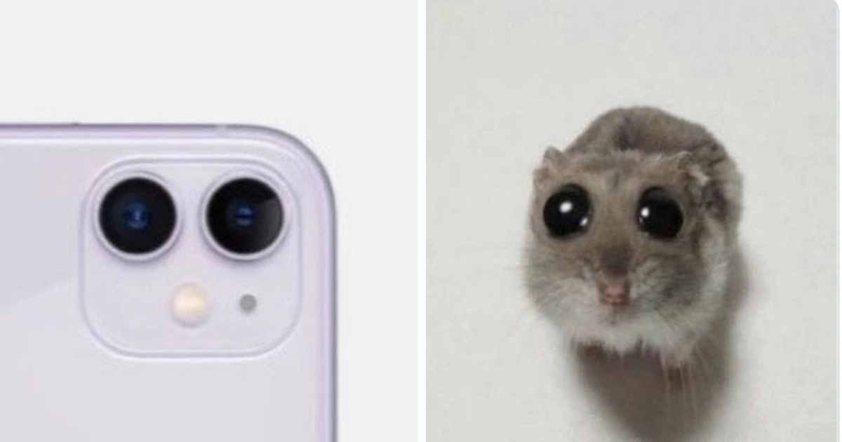 iPhone 16 Just Launched And Here Are 25 Of The Funniest Reaction Memes