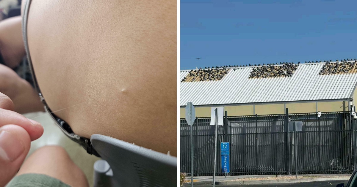 35 Amusing Pics Of Things You Don’t Notice All The Time