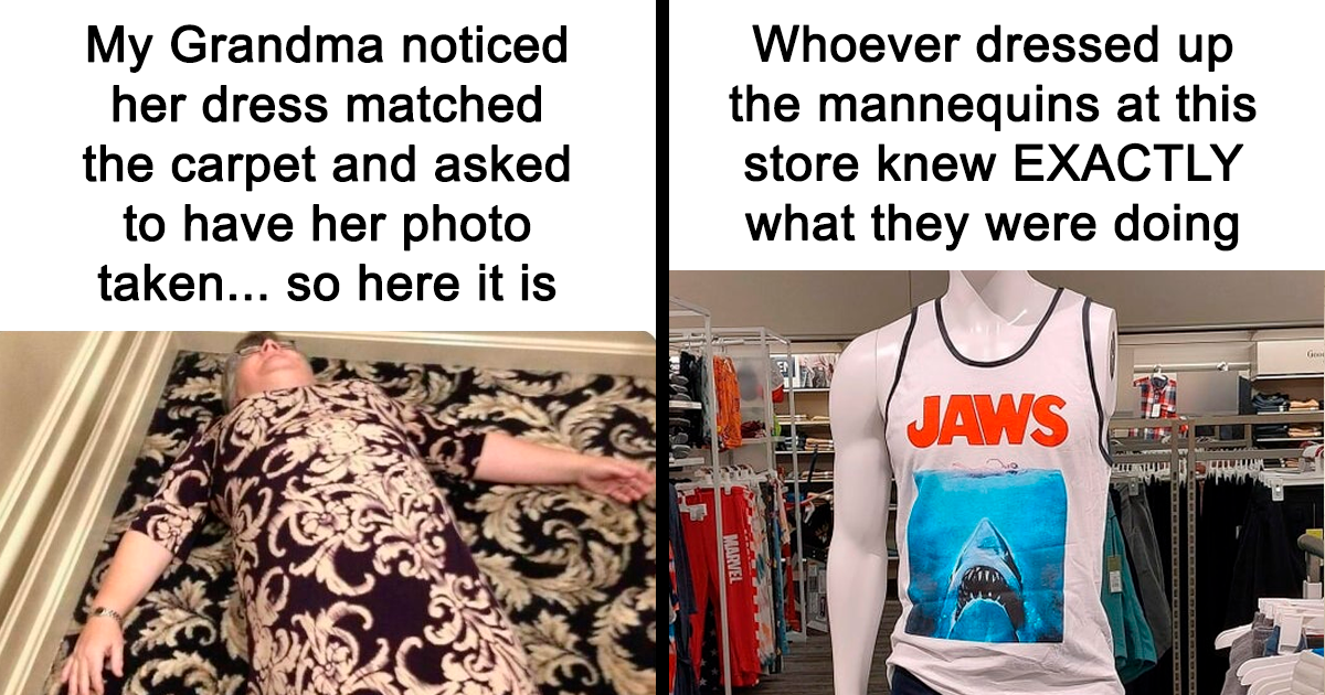 Feeling Down? These 25 Memes Might Just Make You Smile