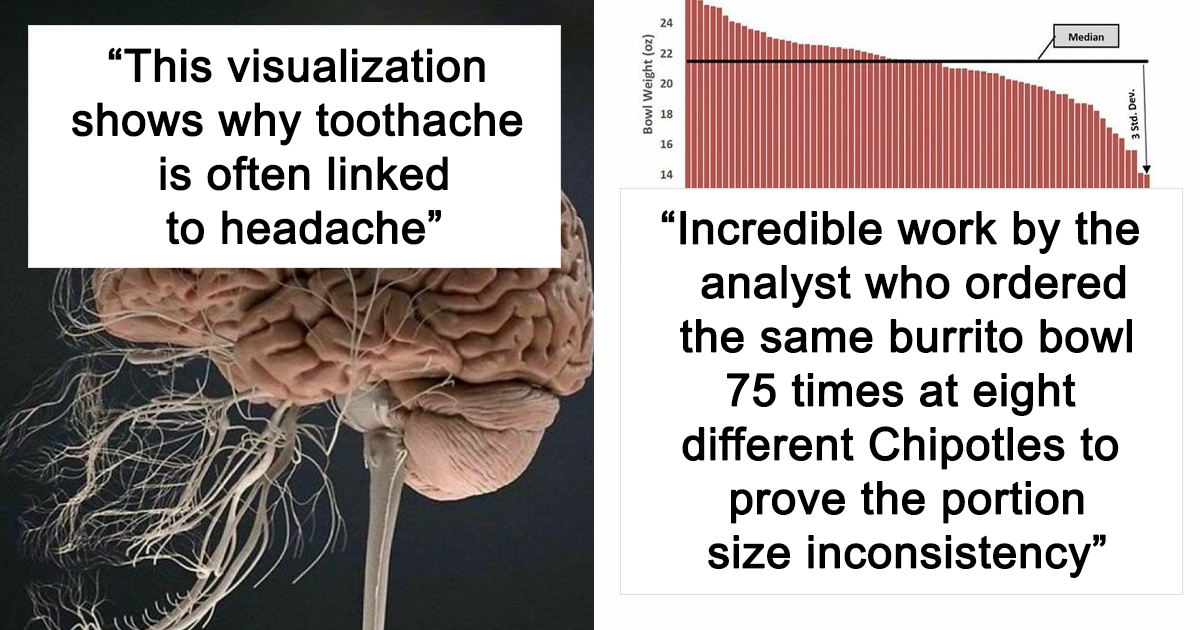25 Times Facts Were Presented In The Most Aesthetic And Informative Way