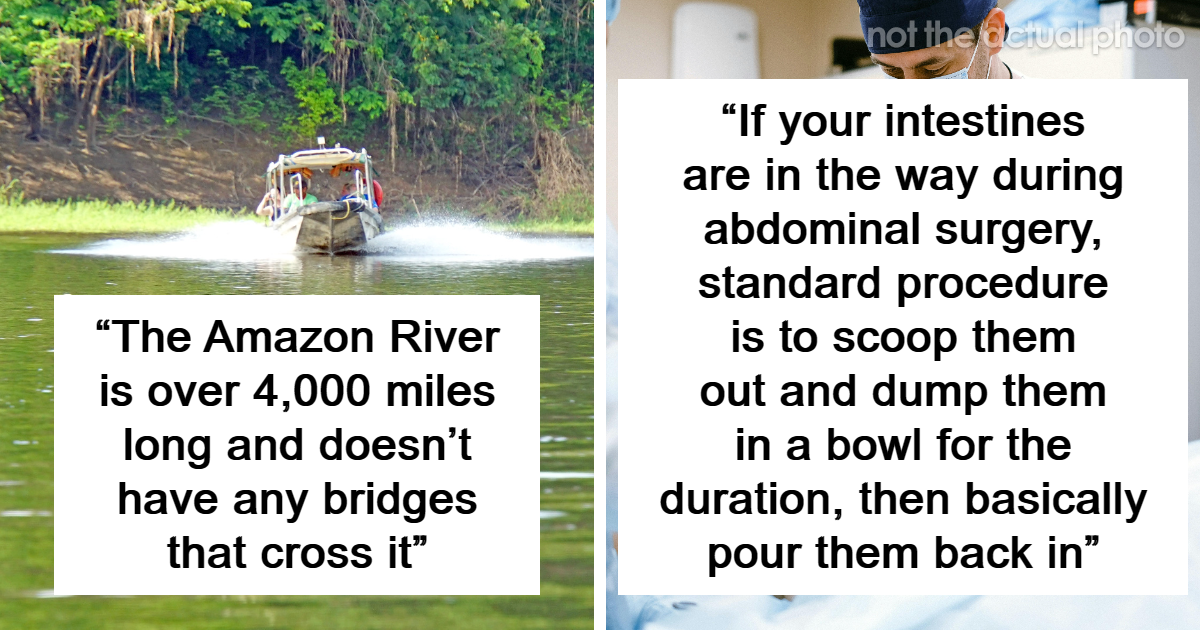 25 Intriguing Facts That Aren’t Too Popular