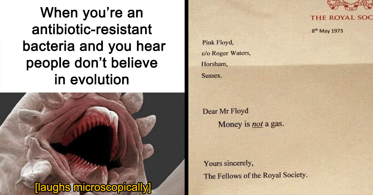 40 Brainy Science Memes To Tickle Your Funny Bone