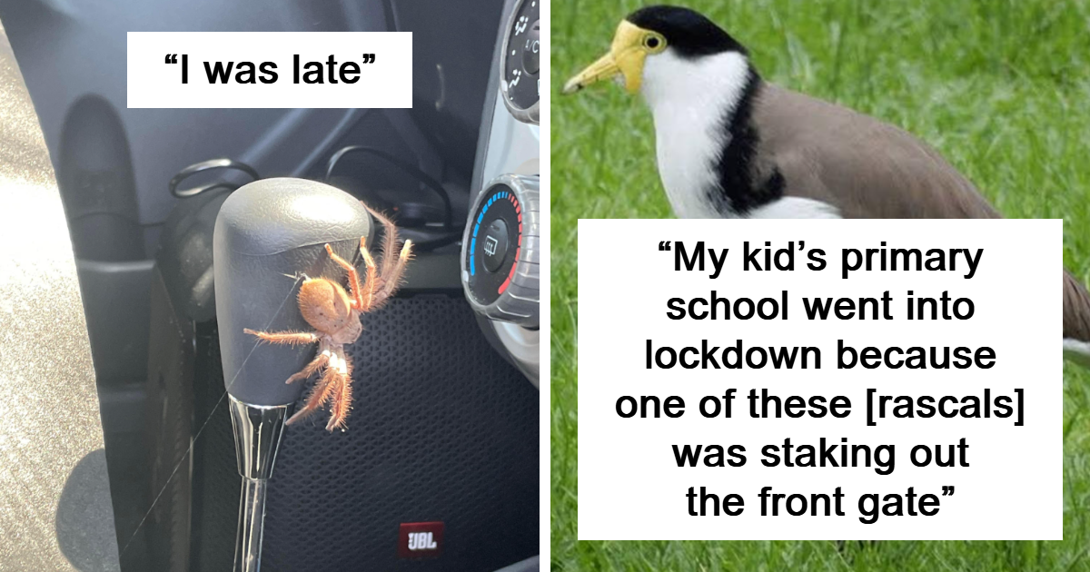 25 Things That Only Exist In Australia
