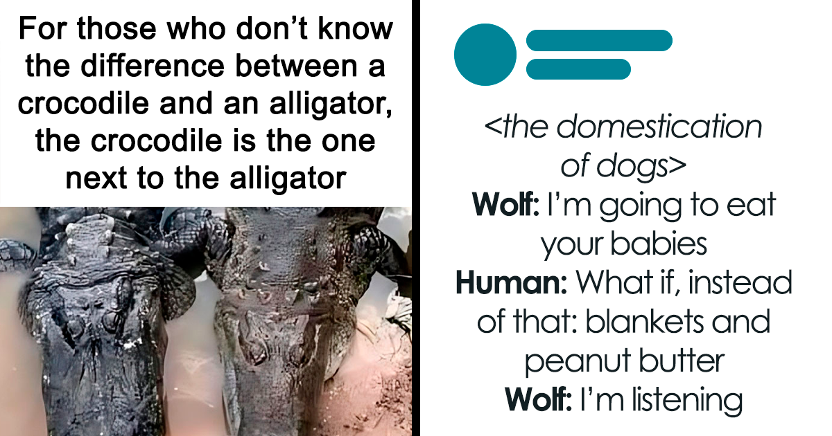 "Science Memes": 35 Funny Memes Shared On This Facebook Page That Might Poke Your Nerdy Bones