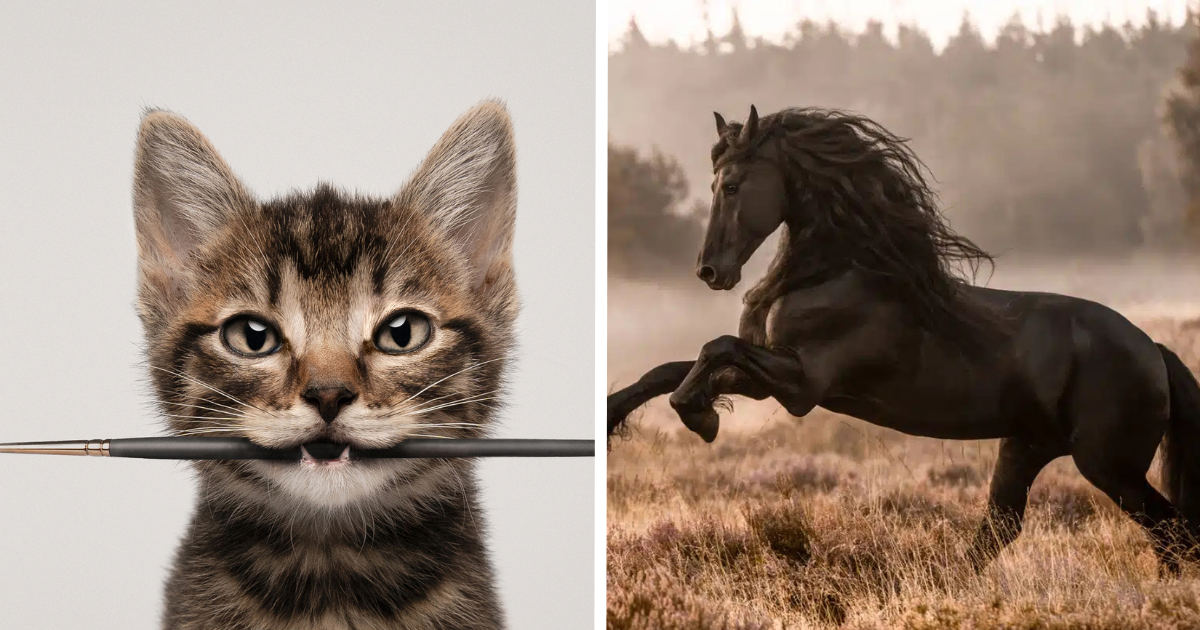 15 Stunning Images From The International Pet Photography Awards 2024 That Might Make You Smile