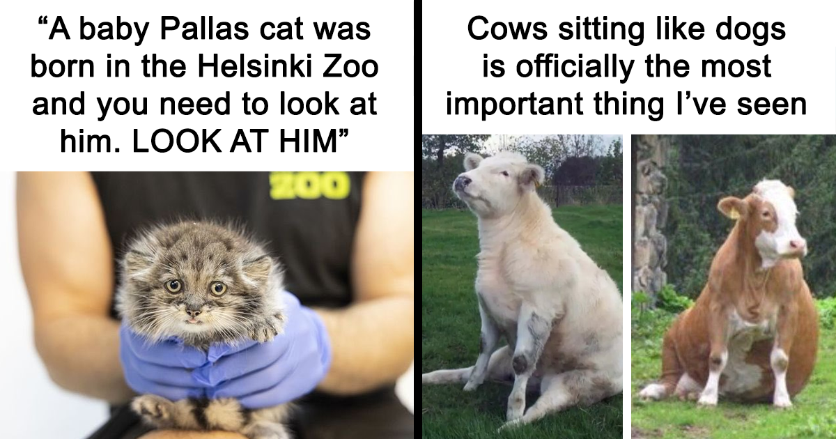 ‘Trust Me, I'm A “Biologist”': 35 Of The Best Memes Found On This Science Page