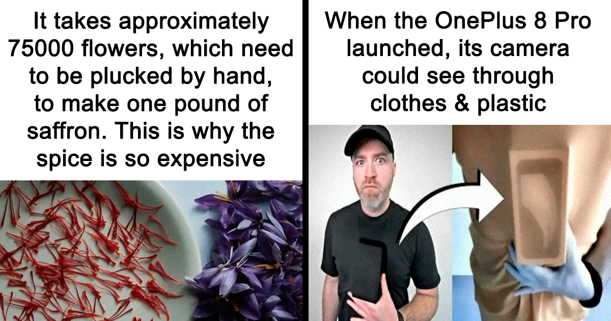 25 Oddly Fascinating Facts You Didn’t Know You Needed in Your Life