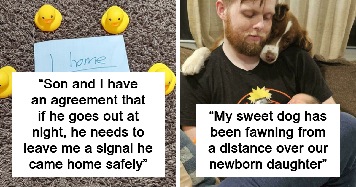 35 Times People Shared Touching And Wholesome Posts That Made Others Happy