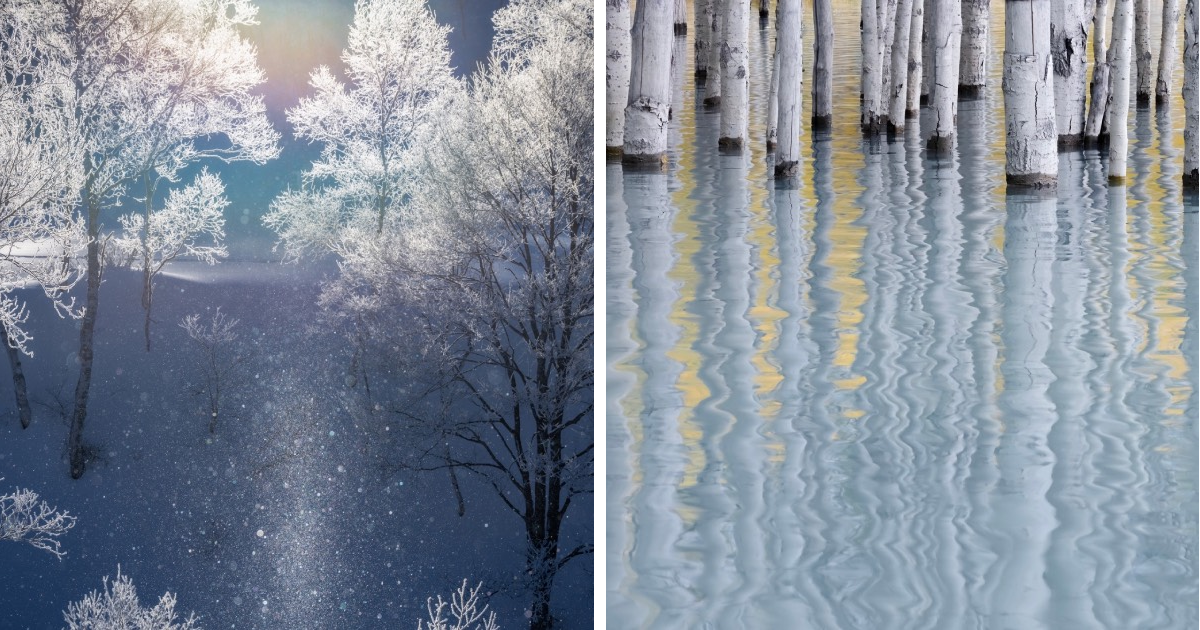 Stunning Photos That Won At The 2024 Natural Landscape Photography Awards