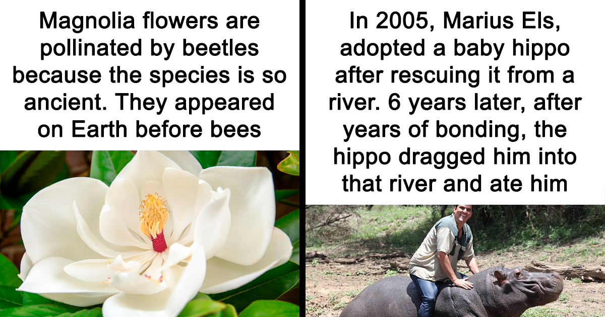 40 Intriguing Facts About The World, Shared By This Online Community