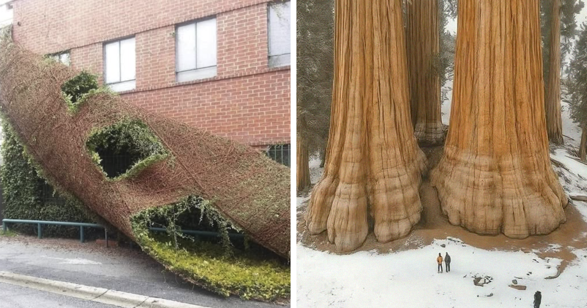 30 Unfiltered Moments Of Perfection That Feel Like A Gift From Mother Nature