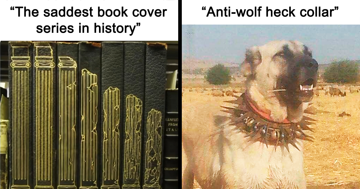 40 Fascinating Pics That Might Make You Smile, Laugh, Or Say “Huh, I Didn’t Know That!”