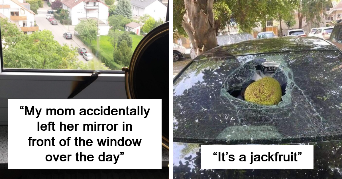 25 Photos That Allow You To Feel The Pain Of The Expensive Mistake