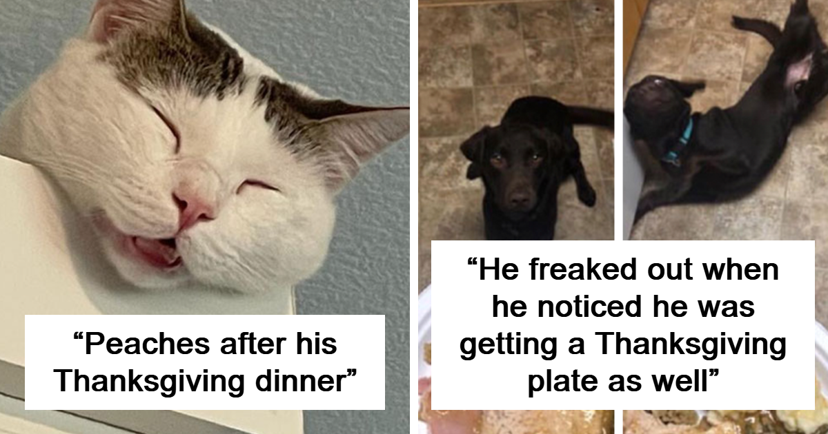 35 Touching Thanksgiving Moments That Might Warm Your Heart