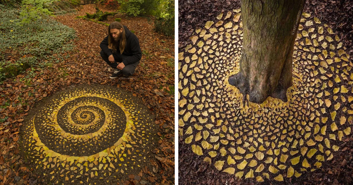 This Artist Turns Forest Floors Into Art With Only What Nature Offers (20 Pics)