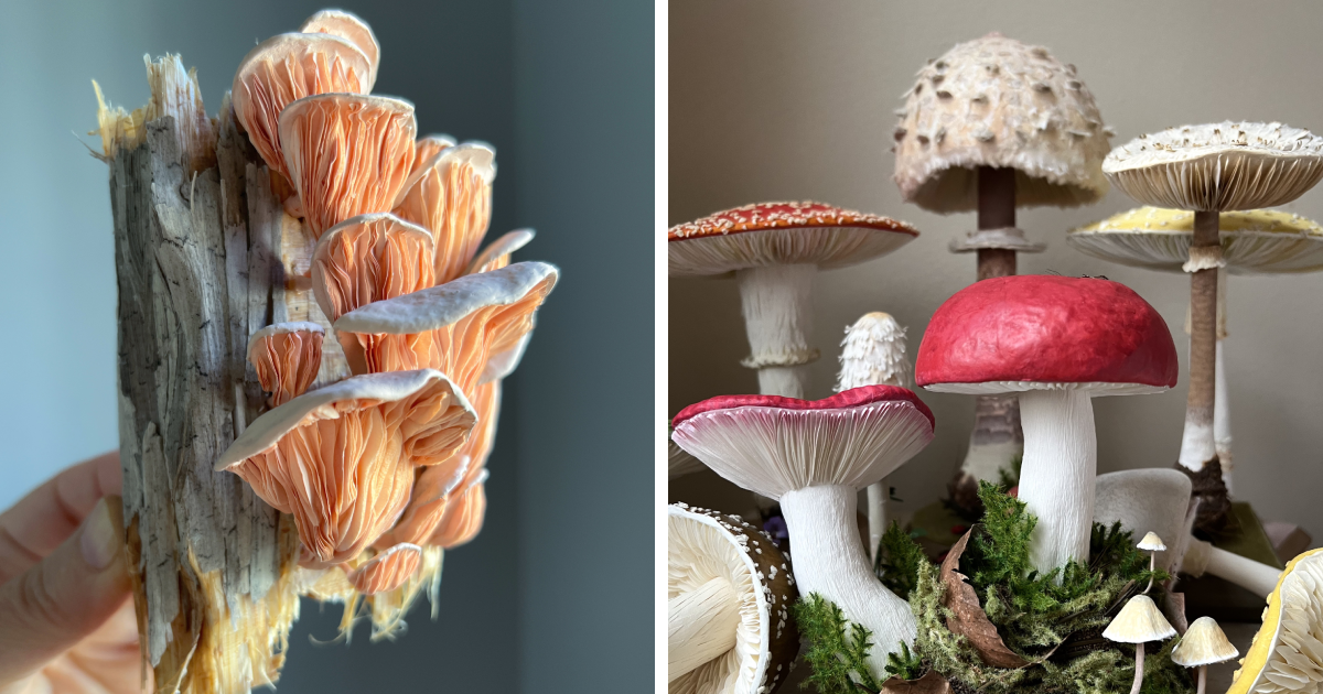 15 Mushrooms Crafted With Paper By Ann Wood