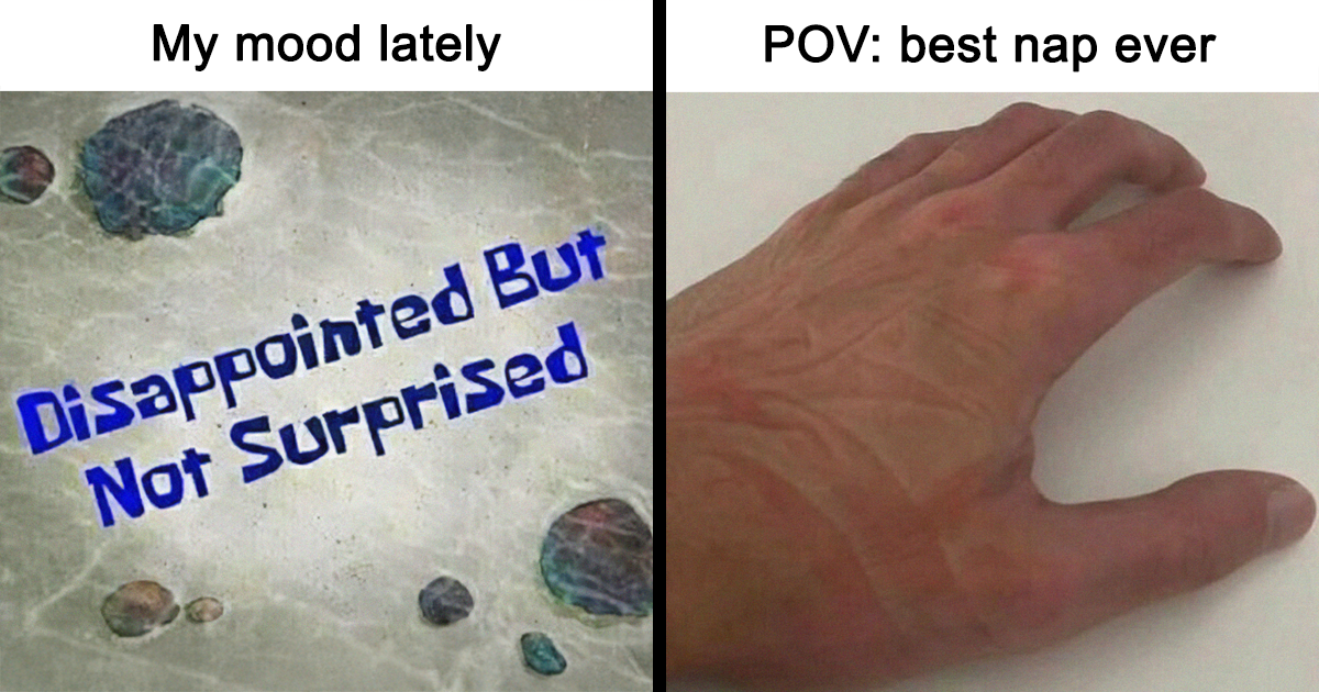 25 Memes To Amuse Yourself While Procrastinating