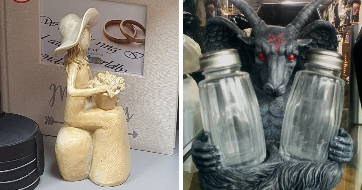 25 Ridiculous Secondhand Finds That Made People Say “I Have To Own This”