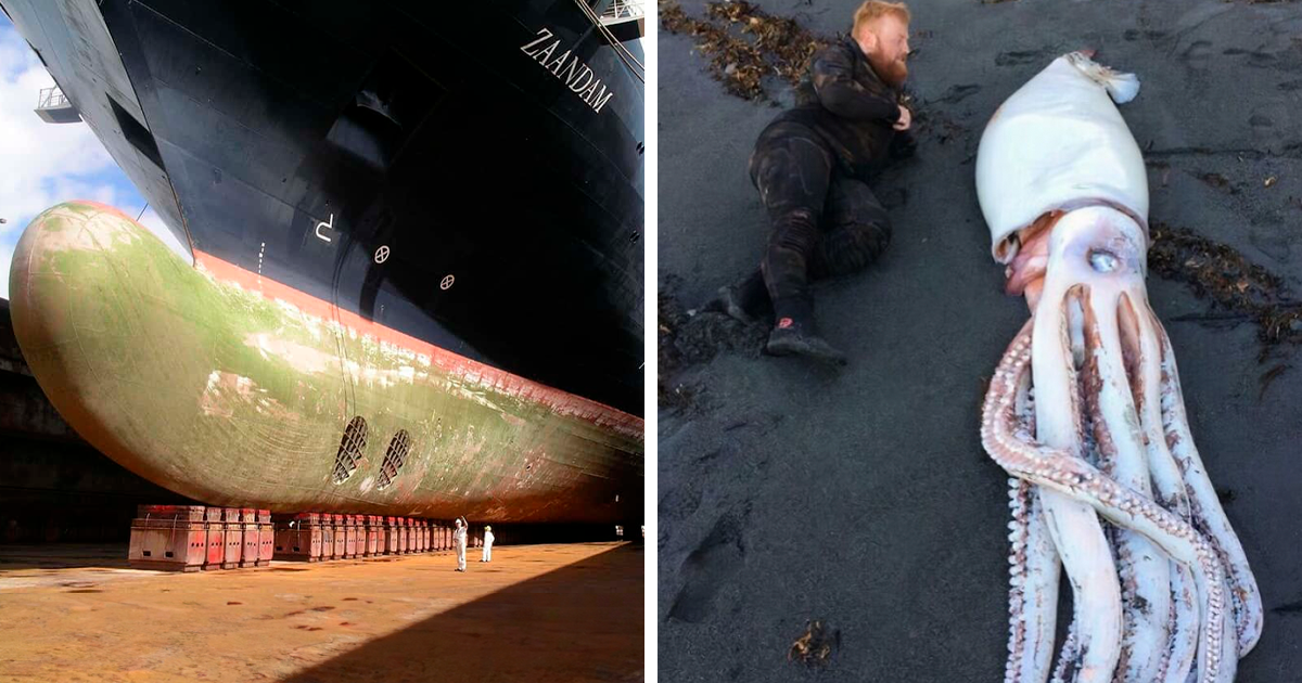 40 Massive Objects That Might Just Awaken Your Fear Of Huge Things