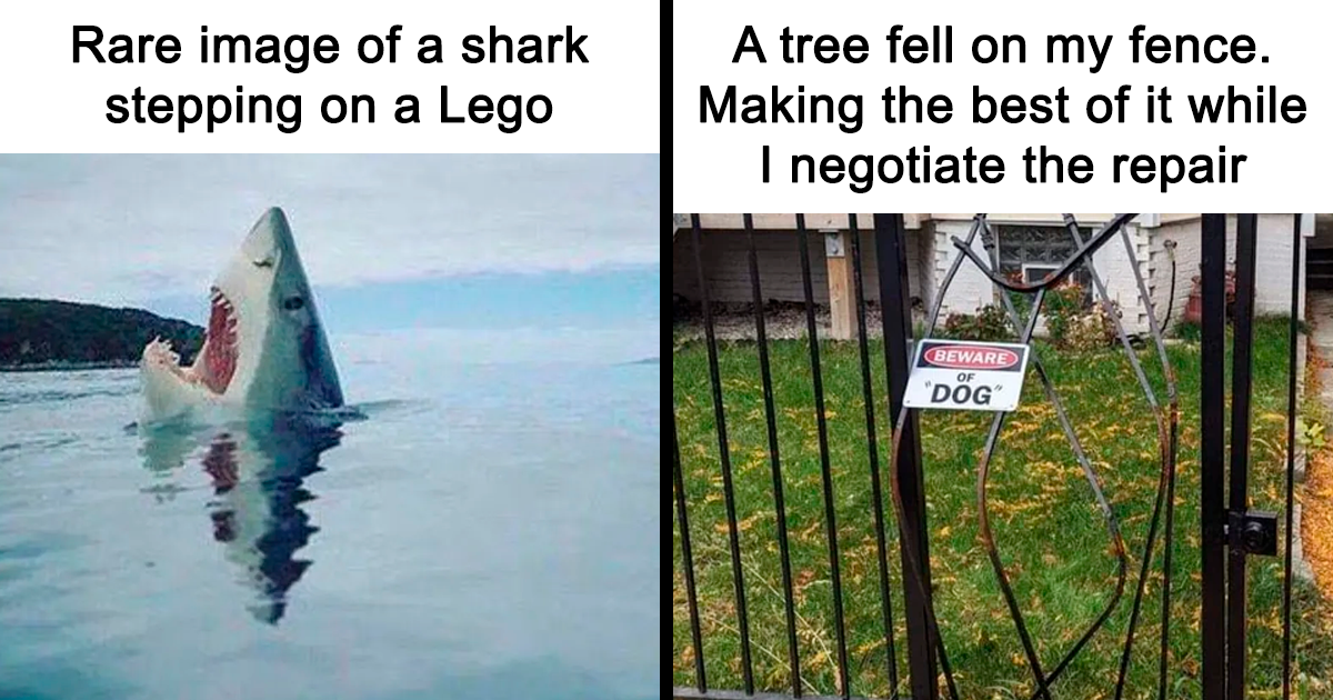 35 Social Media Posts That May Appeal To Sarcastic Humor Enthusiasts