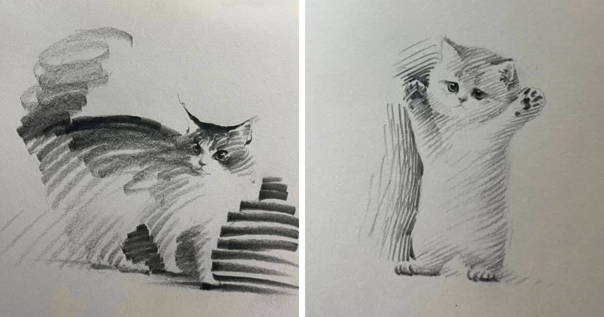 Chinese Artist Shou Xin Beautifully Illustrates 10 Cats In Simple Sketches