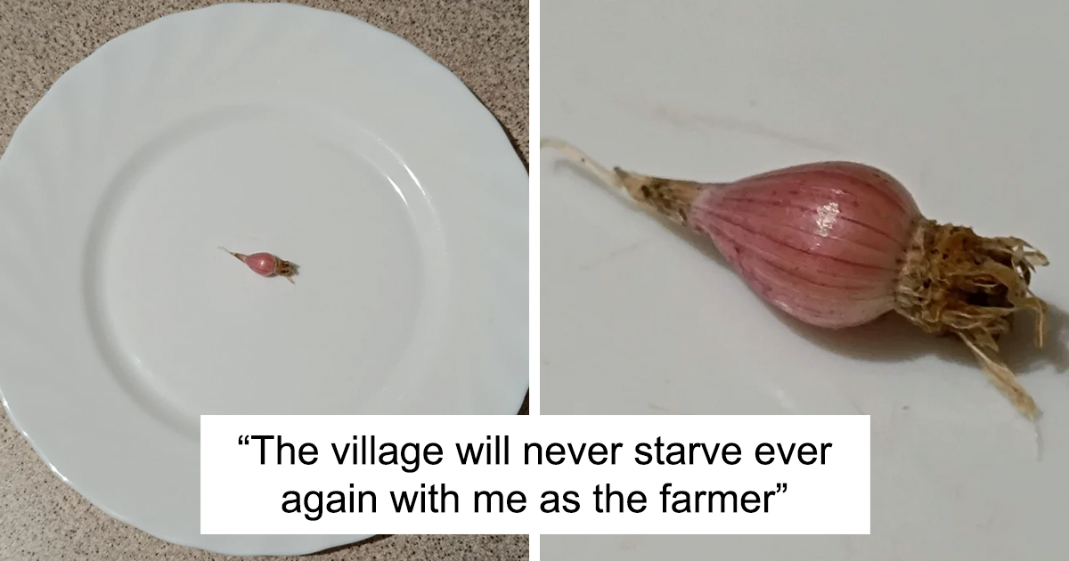 30 Hilarious Gardening Moments That Show Plants Have A Sense Of Humor