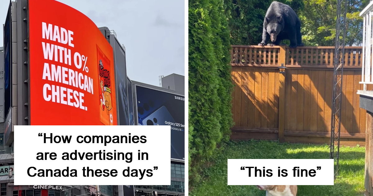 “Meanwhile, In Canada”: 40 Pics Proving Why Canada Is Different From The Rest Of The World
