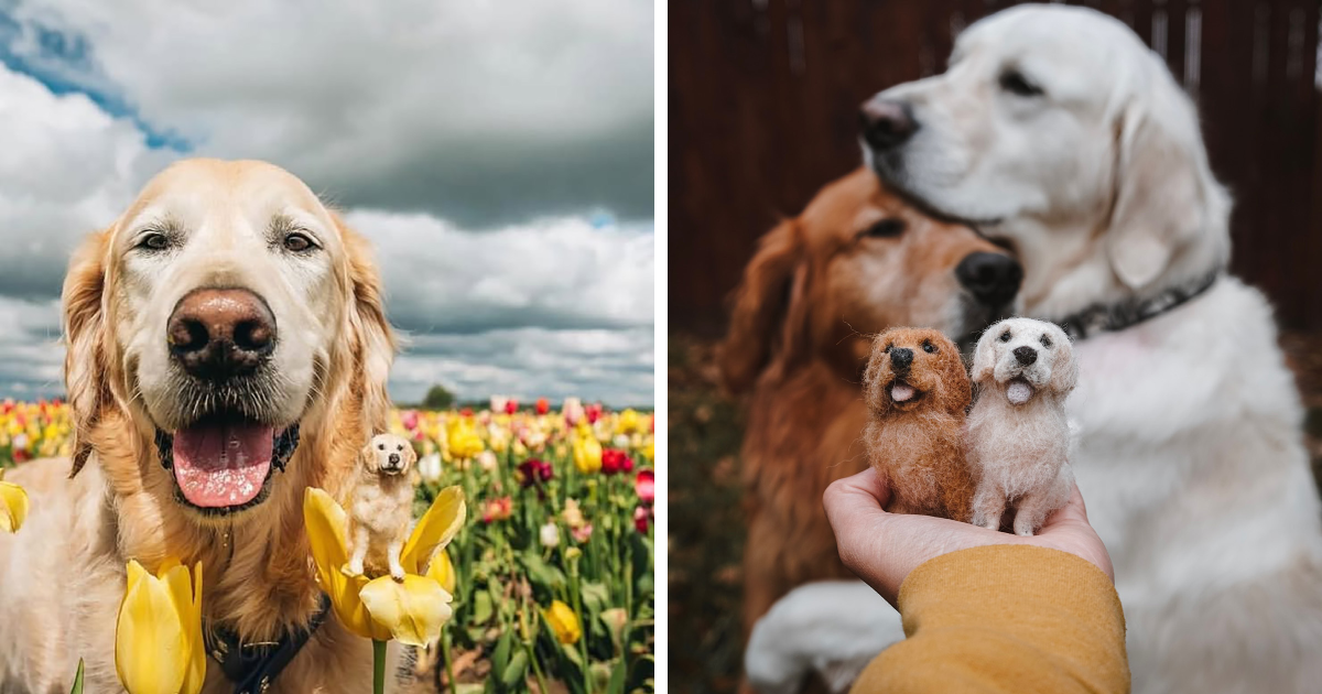Alyson Gurney Crafts Charming Mini-Plushies Of Pets From Felted Wool