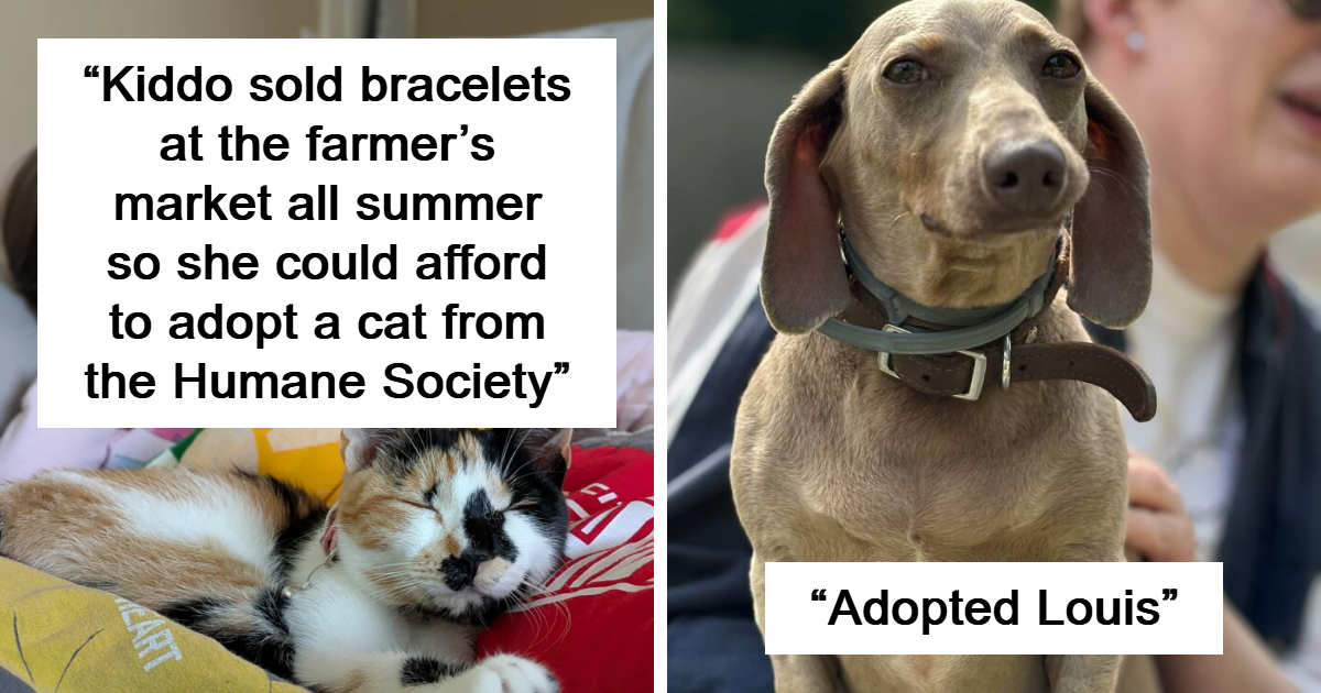 “Just Met My Soulmate”: 40 Pet Adoption Wins From October