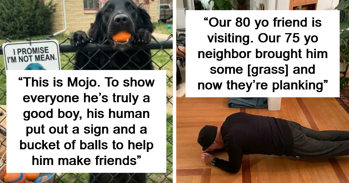 40 Wholesome Neighbor Moments That Prove Humanity Isn’t Lost Yet