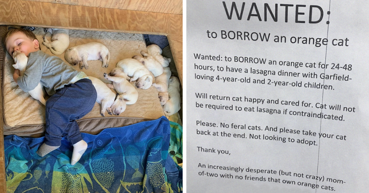 40 Heartwarming Posts To Restore Your Faith In Humanity