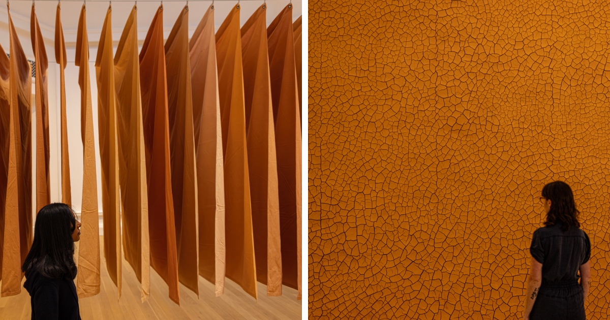 Stunning Land Art Installations Spanning Fifty Years Of Andy Goldsworthy
