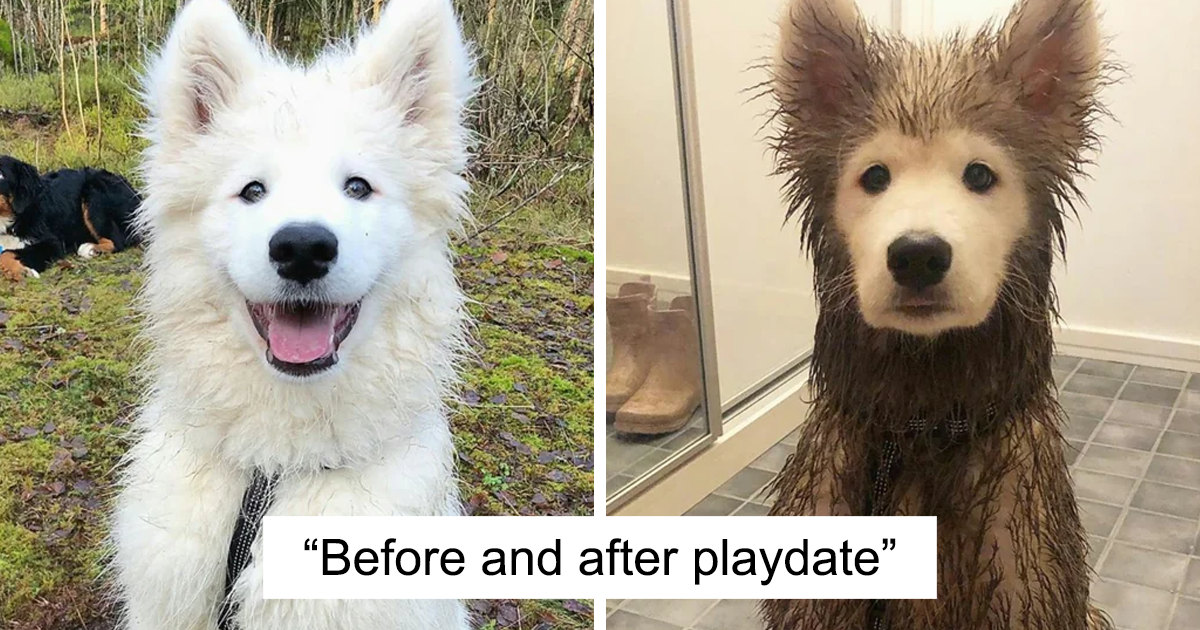 40 Comparisons That Put Everyday Things Into Perspective In Surprising Ways