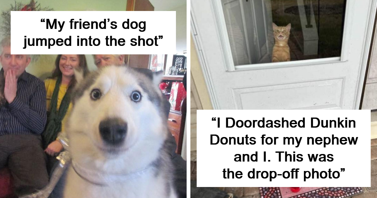 40 Times Pets Decided They Were The Main Character In Every Picture