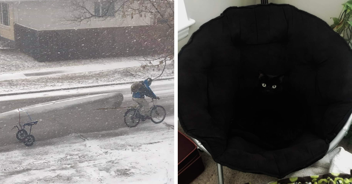 40 Hilarious Moments Of Accidental Camouflage That’ll Make You Look Twice