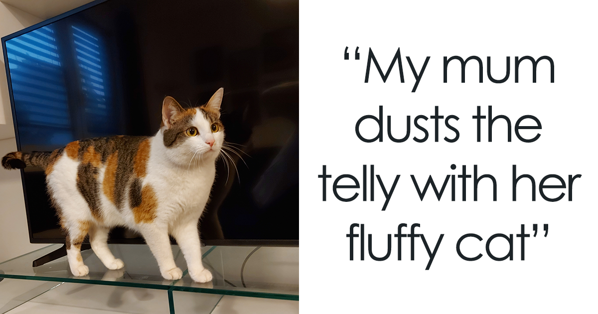 25 Filthy Little Secrets People Admitted To Doing