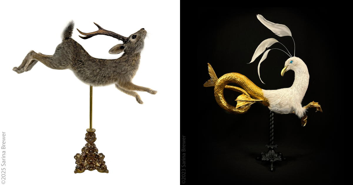 “Waste Not, Want Not”: Taxidermy And Sculpting Merge In Sarina Brewer’s Art