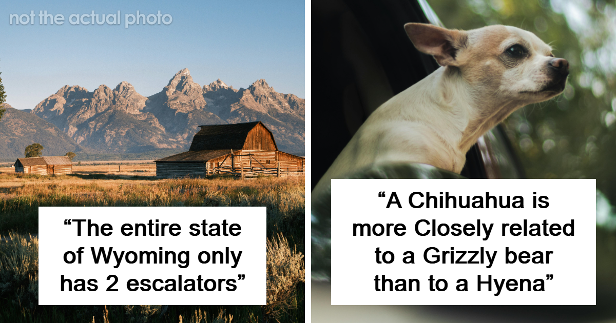 25 Questionable Facts That Sound Made Up But Are 100% True
