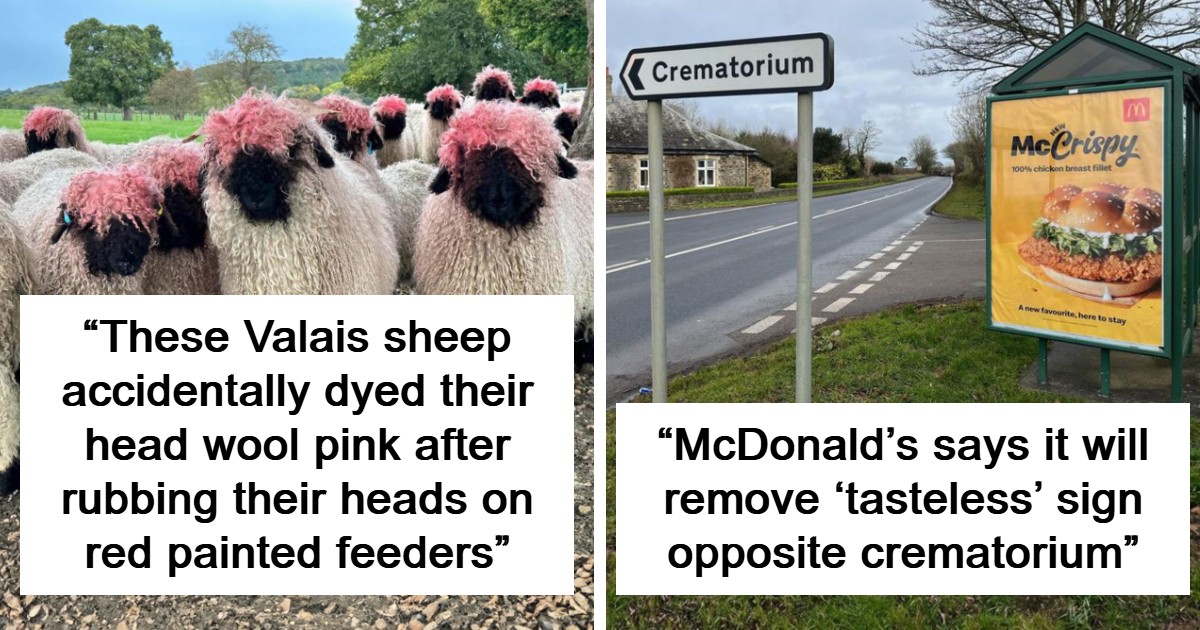 40 Times The Internet Was Blessed With Unintended Hilarious Moments