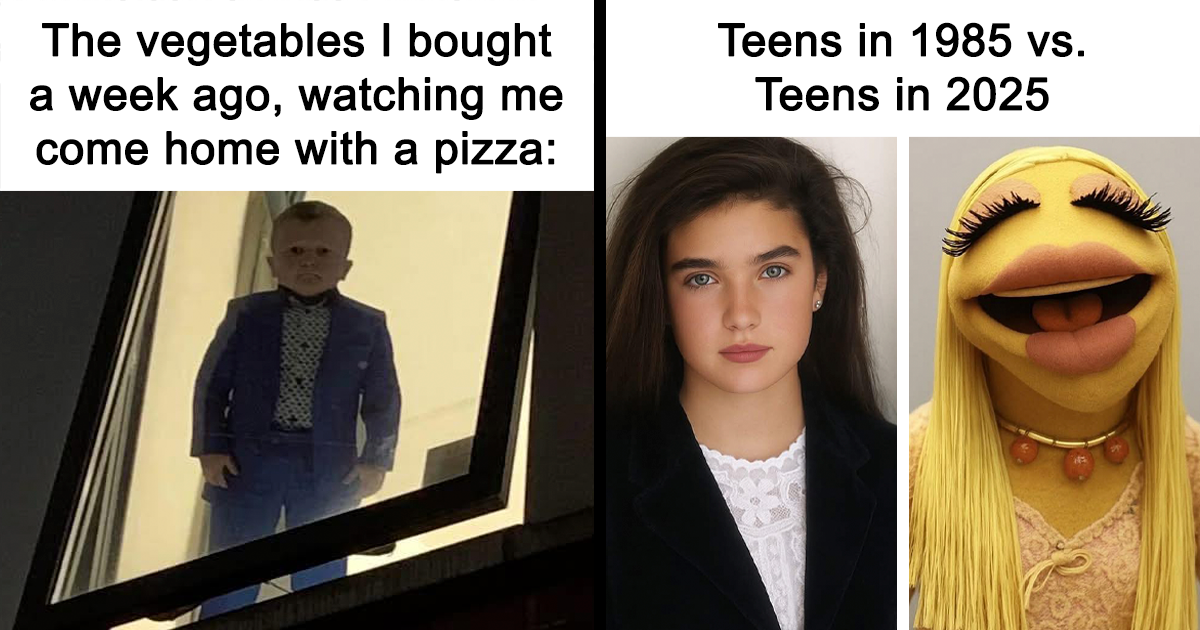 40 Memes That Might Hit Your Brain’s Happy Button