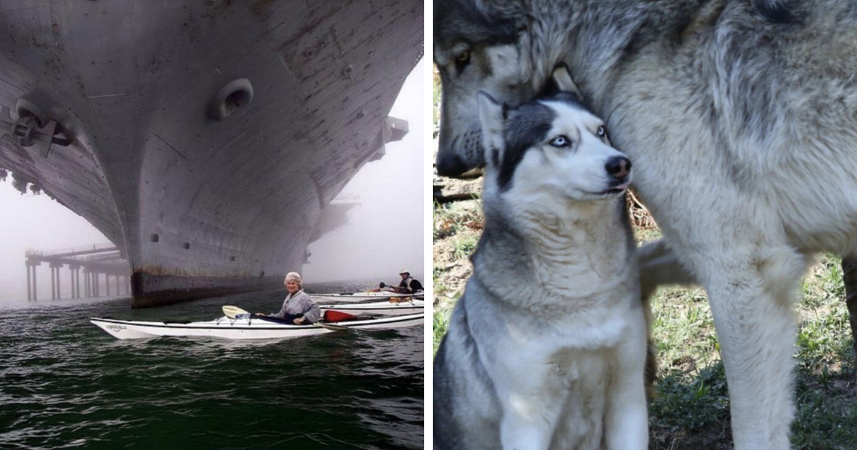 40 Photos Of Giant Things That Mess With Your Sense Of Scale