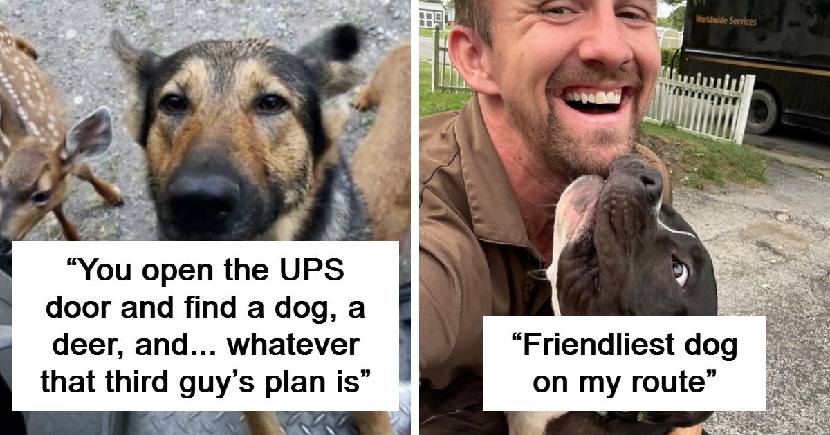 40 Adorable Encounters Between UPS Drivers And Pets That Might Melt Your Heart