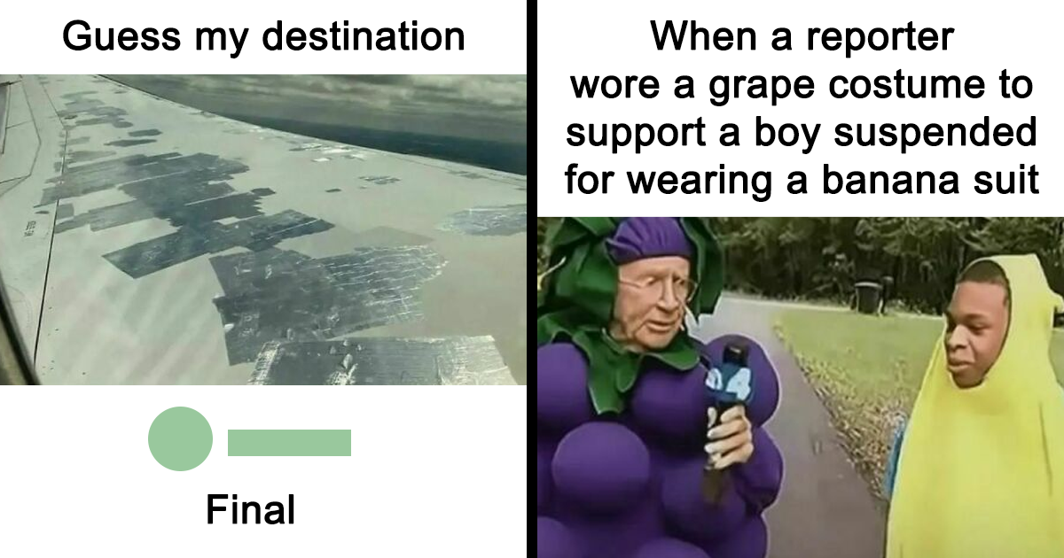 40 Hilarious Memes That Capture The Struggle Of Just Existing